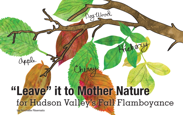 “Leave” it to Mother Nature for Hudson Valley's Fall Flamboyance