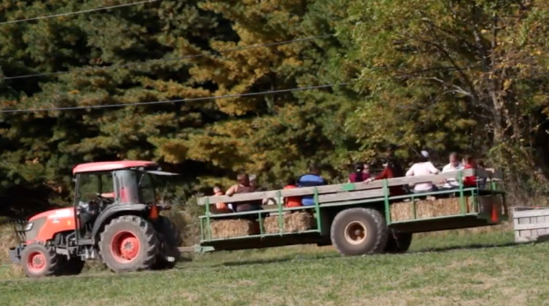 Apple Picking with Hudson Valley Farm