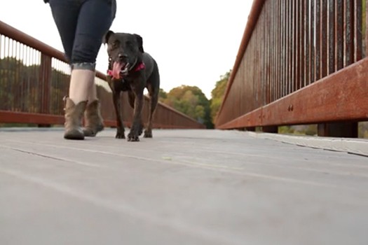 Rosendale Trestle and Rail Trail