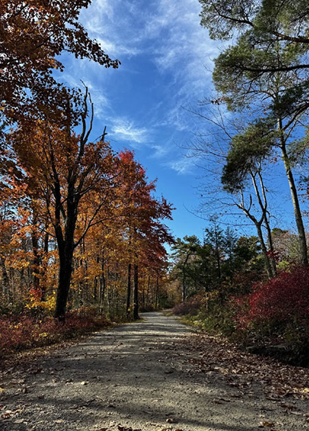catskills-hudson-valley-fall-foliage-walks-04