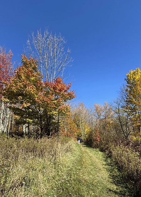 catskills-hudson-valley-fall-foliage-walks-09