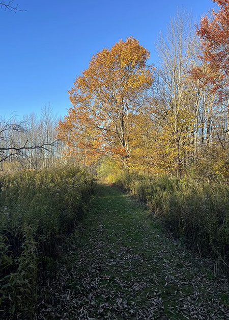 catskills-hudson-valley-fall-foliage-walks-10
