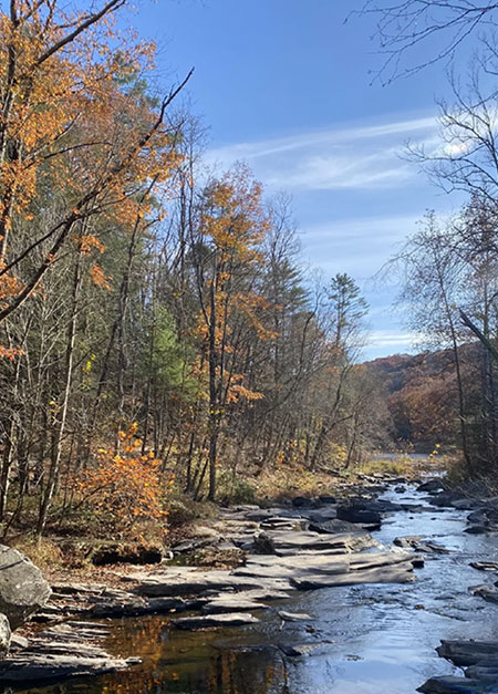 catskills-hudson-valley-fall-foliage-walks-13