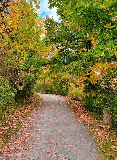 catskills-hudson-valley-fall-foliage-walks-18