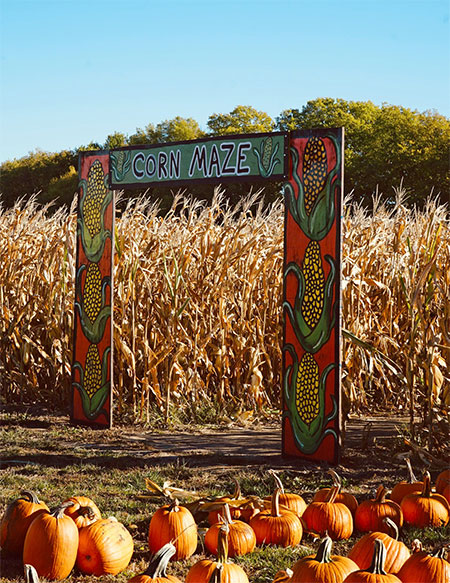 hudson-valley-catskills-fall-farms-apple-picking-pumpkins-06