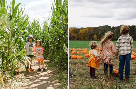 hudson-valley-catskills-fall-farms-apple-picking-pumpkins-07