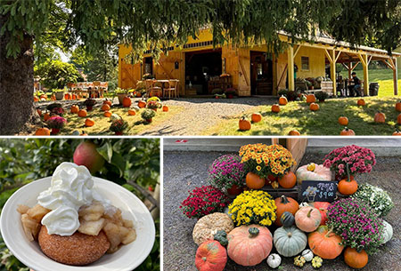 hudson-valley-catskills-fall-farms-apple-picking-pumpkins-08