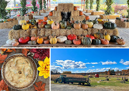 hudson-valley-catskills-fall-farms-apple-picking-pumpkins-11