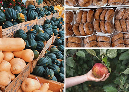 hudson-valley-catskills-fall-farms-apple-picking-pumpkins-12