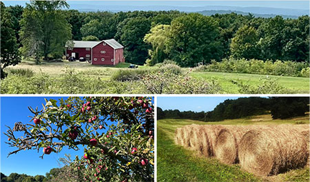 hudson-valley-catskills-fall-farms-apple-picking-pumpkins-13