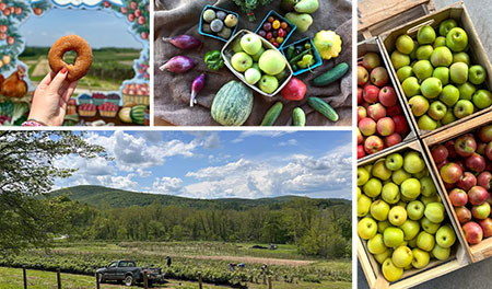 hudson-valley-catskills-fall-farms-apple-picking-pumpkins-14