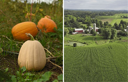 hudson-valley-catskills-fall-farms-apple-picking-pumpkins-15