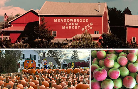 hudson-valley-catskills-fall-farms-apple-picking-pumpkins-16