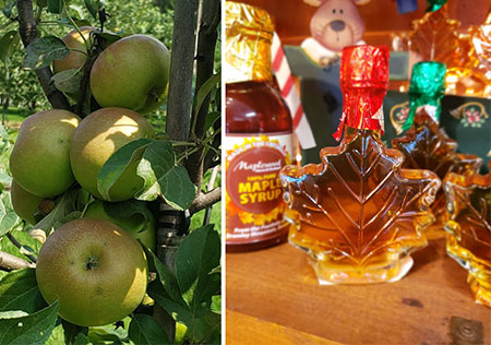 hudson-valley-catskills-fall-farms-apple-picking-pumpkins-19