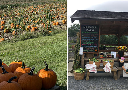 hudson-valley-catskills-fall-farms-apple-picking-pumpkins-20