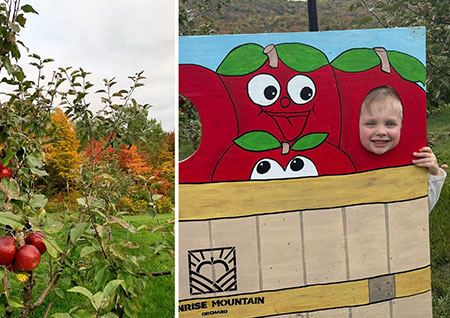 hudson-valley-catskills-fall-farms-apple-picking-pumpkins-21