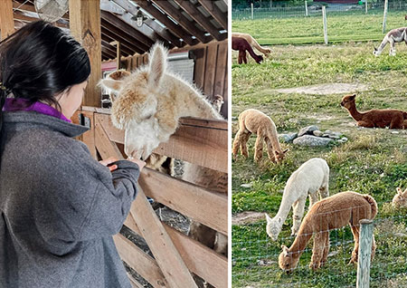hudson-valley-catskills-fall-farms-apple-picking-pumpkins-22