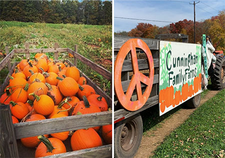 hudson-valley-catskills-fall-farms-apple-picking-pumpkins-23