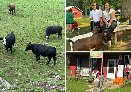 hudson-valley-catskills-fall-farms-apple-picking-pumpkins-24