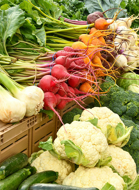 hudson-valley-fall-winter-vegetables-01