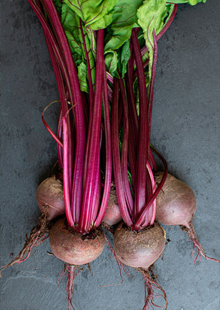 hudson-valley-fall-winter-vegetables-05
