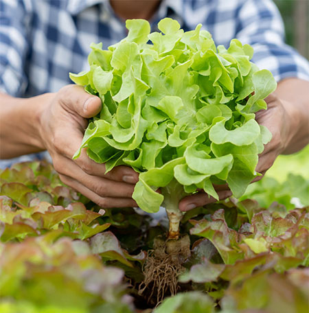 day-in-the-life-hudson-valley-farmers-01