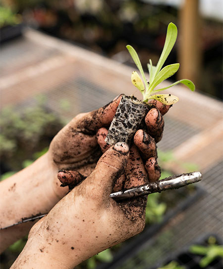 day-in-the-life-hudson-valley-farmers-04