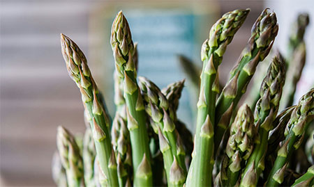 day-in-the-life-hudson-valley-farmers-05