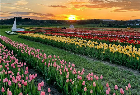 day-in-the-life-hudson-valley-farmers-08