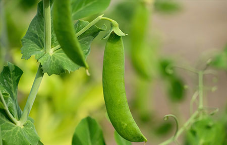 day-in-the-life-hudson-valley-farmers-10