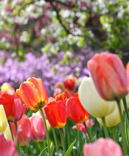 gardens-hudson-valley-catskills-1