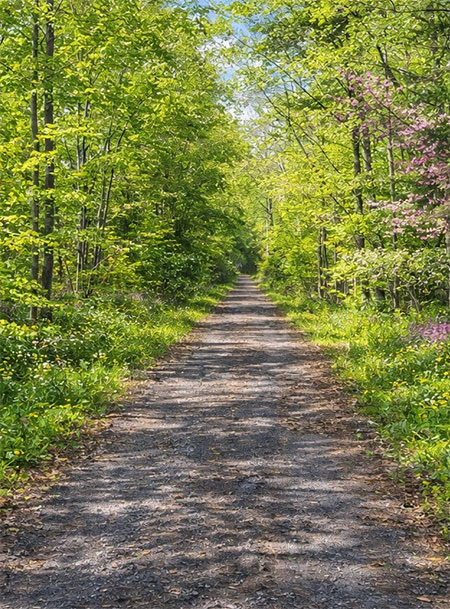 outdoor-trails-hudson-valley-catskills-08
