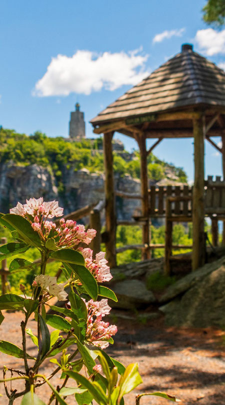 Hudson-Valley-Summer-Getaways-Where-to-Stay-And-Nearby-Fun-Image25