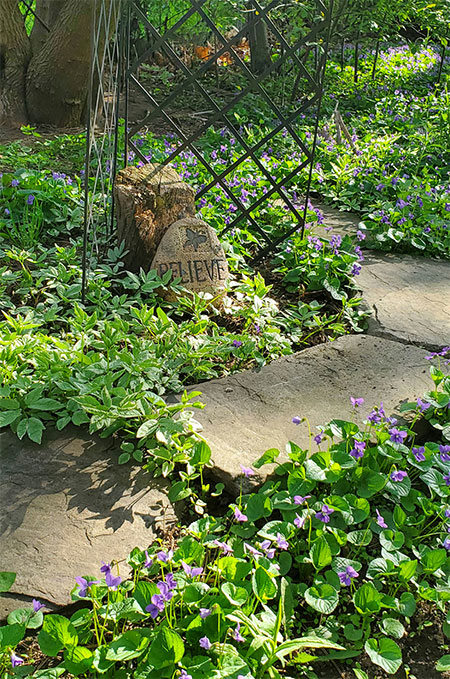 Rewild-Your-Hudson-Valley-Garden-Collaborate-with-Nature-02