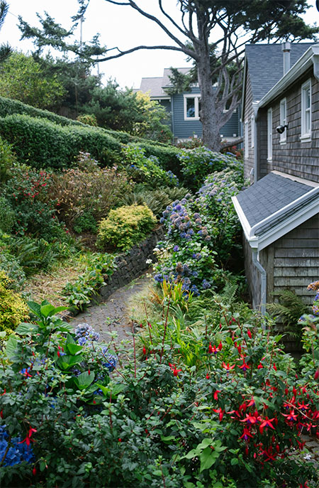 Rewild-Your-Hudson-Valley-Garden-Collaborate-with-Nature-03