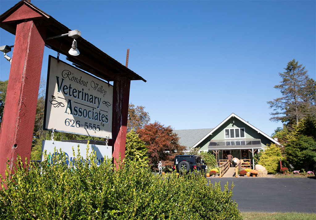 rondout-valley-veterinary-kerhonkson-ny-vets-hudson-valley-02