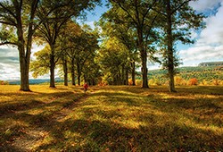 MOHONK PRESERVE