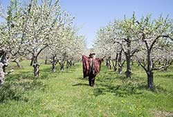 Stone Ridge Orchard