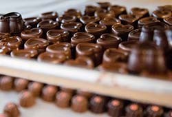 Hudson valley chocolates