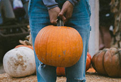 HV & Catskills Fall Farm Fun