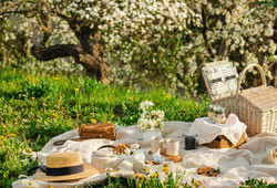 Plan Your Perfect Hudson Valley or Catskills Picnic: Locations & Food