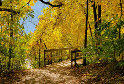Best Fall Foliage Walks in the Catskills & Hudson Valley