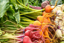 Autumn Abundance: Hudson Valley Fall and Winter Vegetables