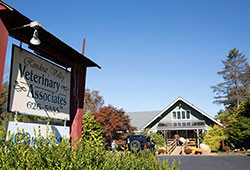 Rondout Valley Veterinary Associates: Kerhonkson NY Vet Clinic Serving the Hudson Valley and Catskil
