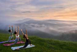 A Day in the Life of Hudson Valley Yogis: Wellness Rituals, Studio Life and the Art of Healing