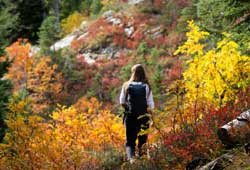 Best Fall Hikes in the Hudson Valley & Catskills: Scenic Trails with Spectacular Autumn Views
