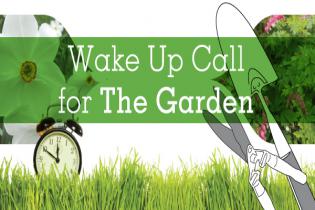 Wake Up Call for THE GARDEN