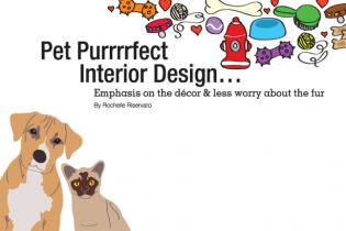 Pet Purrrrfect Interior Design...