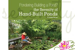 Pondering Building a Pond?