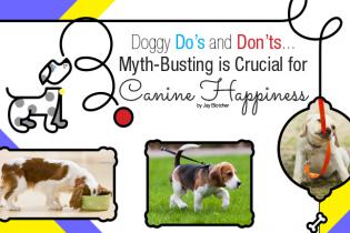 Doggy Do's and Don'ts...